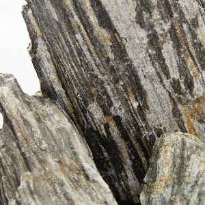 `󂨔C@P΁@TCY~bNX@5kg@45cm@ANAE@CAEgfށ@֓