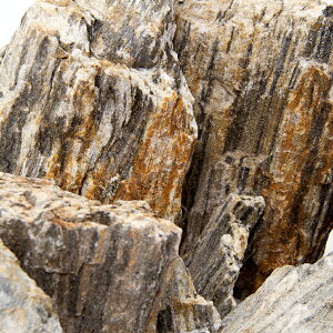 `󂨔C@P΁@TCY~bNX@10kg@60cm@ANAE@CAEgfށ@֓