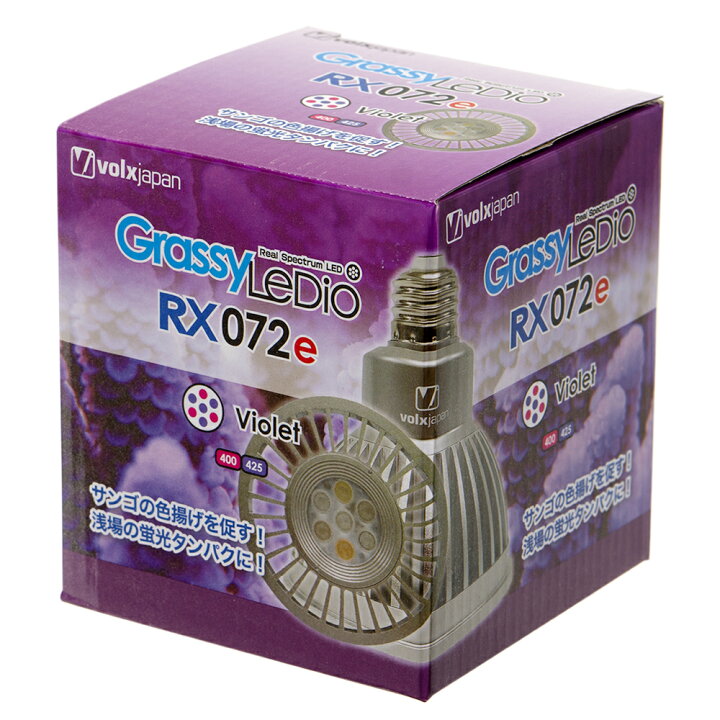 楽天市場】ボルクスジャパン Grassy LeDio RX072e 