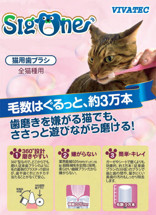 楽天市場 ビバテック シグワン 猫用歯ブラシ 猫 デンタルケア 関東当日便 Charm 楽天市場店