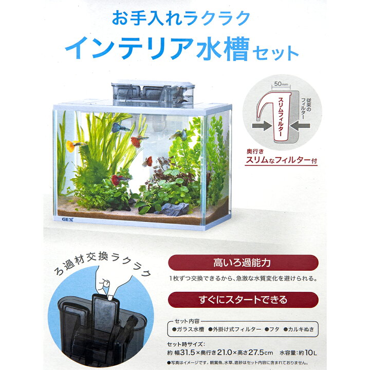 ついに再販開始 Gex スリムアクアホワイトセット L Riosmauricio Com