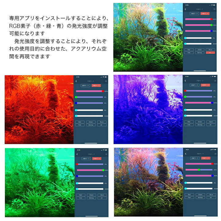 楽天市場】Chihiros LED VIVID2 ブラック 10周年  