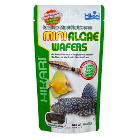 楽天市場 オトシンクルス 人工飼料 エサ 熱帯魚 アクアリウム ペット ペットグッズの通販 楽天市場 オトシンクルス 人工飼料 エサ 熱帯魚 アクアリウム ペット ペットグッズの通販