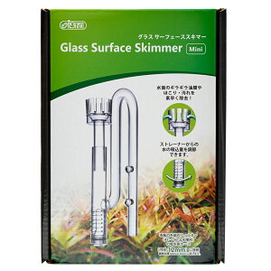 AY[@OXT[tF[XXL}[@mini@֓