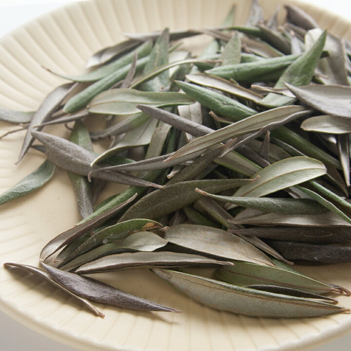 楽天市場 国産 オリーブの葉 １０ｇ 小動物用のおやつ 関東当日便 Charm 楽天市場店