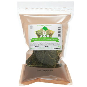 Y@ςςubR[100ׂ@20g@̂@@nX^[@Y@F@֓