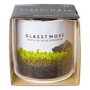 V|@OXgXL@RPeE@͔|Zbg@ƒ؉@Mtg@ہ@ۃeE@֓