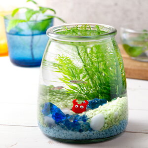 水 ボトル 熱帯魚 アクアリウム用品の人気商品 通販 価格比較 価格 Com