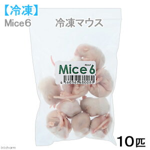 Ⓚt@W[M@J^{B@Mice6@Ⓚ}EXi10Cj@pbN@ʓrN[萔@퉷is