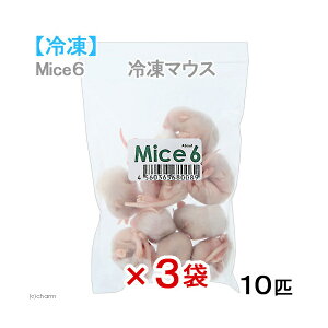 Ⓚt@W[M@J^{B@Mice6@Ⓚ}EX@10C×3܁@pbN@ʓrN[萔@퉷is