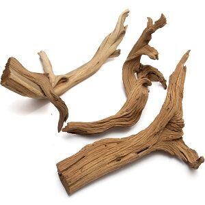 `󂨔C@ύݍς݁@S[XgEbh@STCYi25`40cmj@3{@CAEgfށ@؁@֓