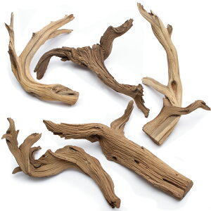 `󂨔C@ύݍς݁@S[XgEbh@STCYi25`40cmj@5{@CAEgfށ@؁@֓