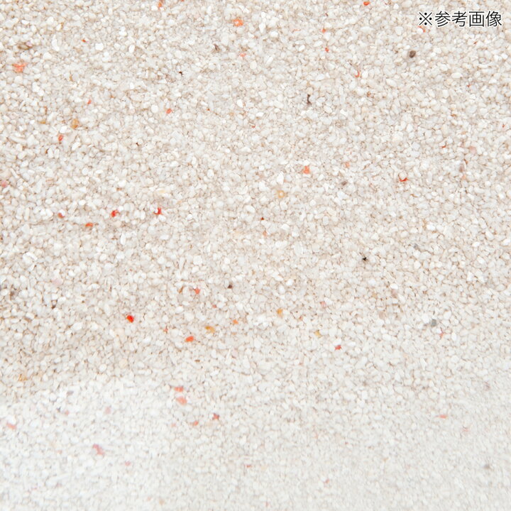 楽天市場】サンゴ砂 ホワイトビーチサンド 3L 海水水槽用底砂 お一 