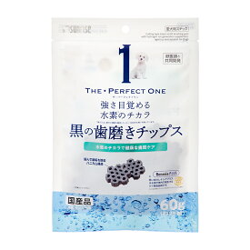 サンライズ　THE・PERFECT　ONE　黒の歯磨きチップス　60g【HLS_DU】　関東当日便