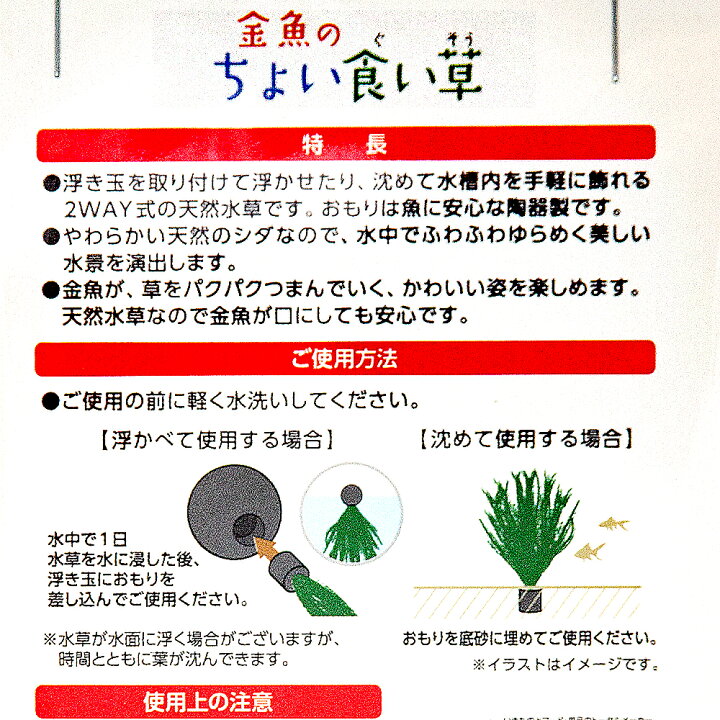 楽天市場 ニッソー 金魚のちょい食い草 １個 関東当日便 Charm 楽天市場店