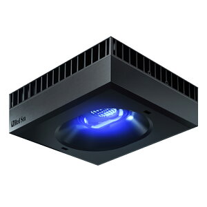 AEgbgi@bhV[@Reef@LED@160@TS@@Fg@`80cm@@Cg@Ɩ@󂠂@֓