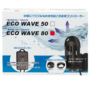 n[gg[h@GREF[u@80@120|200cmp@EF[u[J[@֓