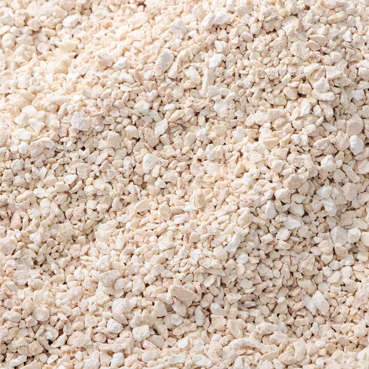楽天市場 国内洗浄焼成済み ｃ ｐ ｆａｒｍ 化石サンゴ砂 ｆｏｓｓｉｌ ｃｏｒａｌ ｍ ３ｋｇ 海水水槽用底砂 お一人様８点限り 関東当日便 Charm 楽天市場店