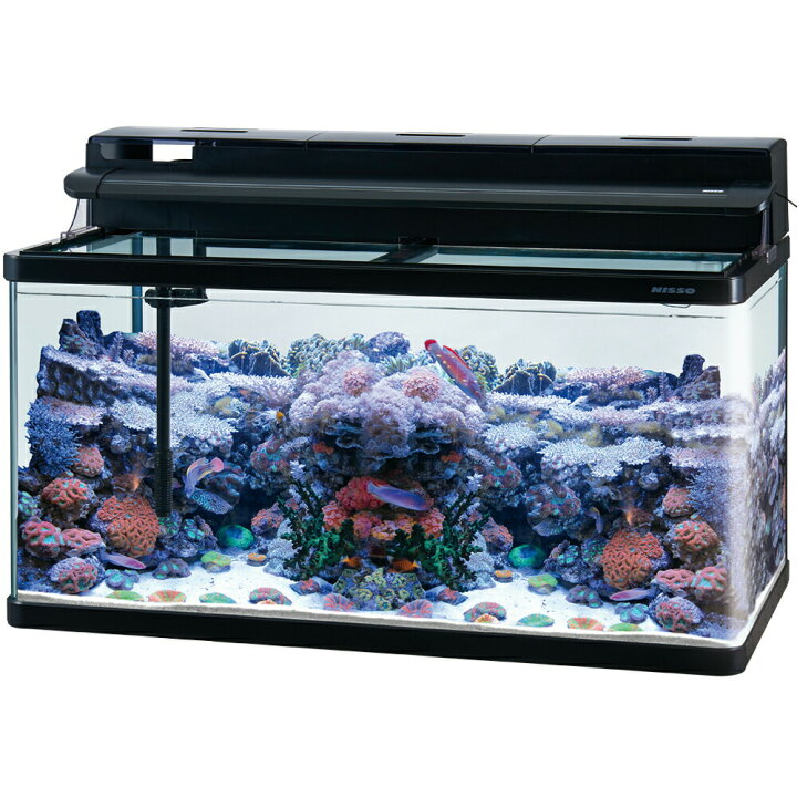 楽天市場】（大型）ニッソー スティングレー900・ベーシック5点  