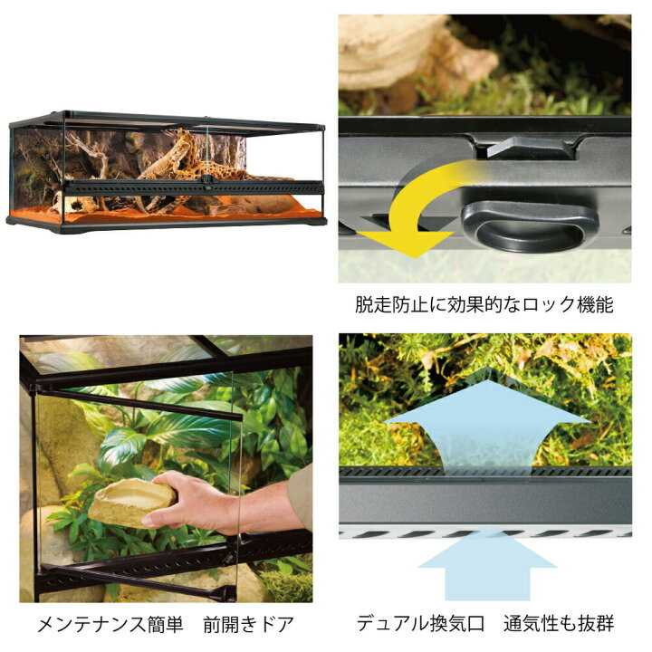 楽天市場】（大型）爬虫類ケージ GEX エキゾテラ グラステラリウム 