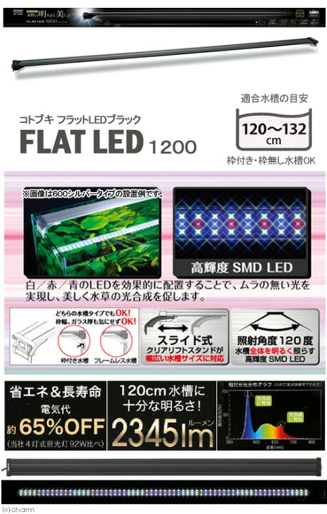 楽天市場】（大型）コトブキ工芸 120cm水槽 アクアリスト 