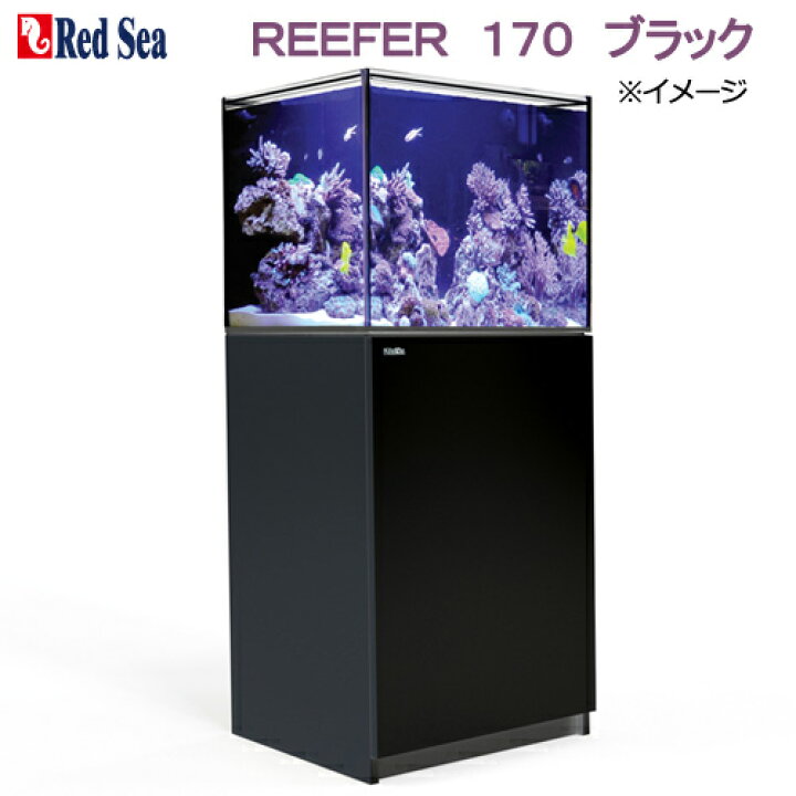 楽天市場 超大型 レッドシー reefer 170 ブラック オーバーフロー水槽 3個口 本州四国送料無料 同梱不可 代引不可 才数600 Charm 楽天市場店 楽天市場 超大型 レッドシー reefer 170 ブラック オーバーフロー水槽 3個口 本州四国送料無料 同梱不可 代引不可 才数600 Charm 楽天市場店