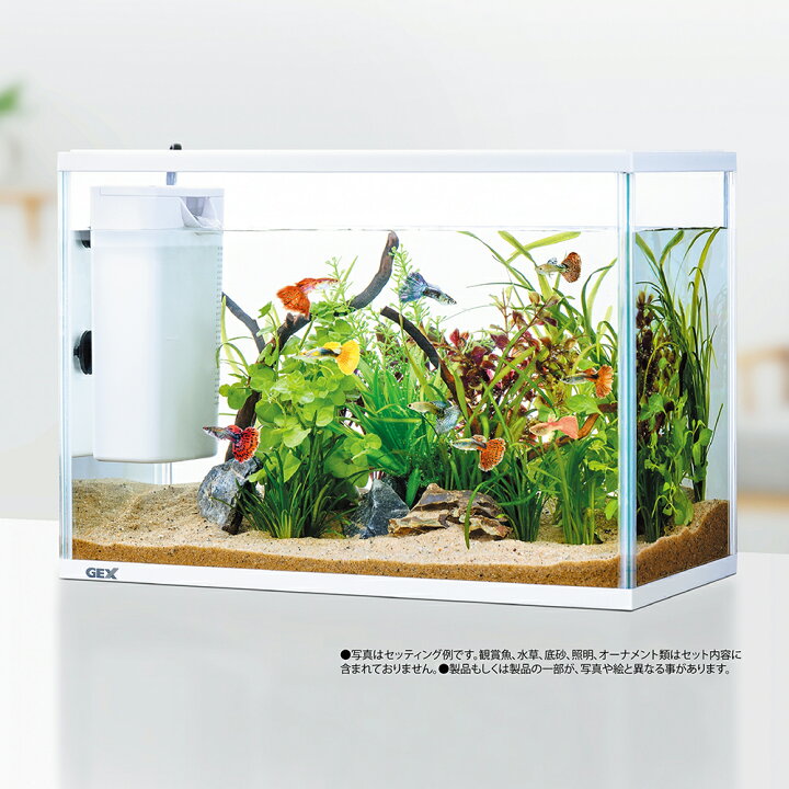 美品) カスタム水槽フルセット! アクアリウム 淡水・海水両用 引き取り限定
