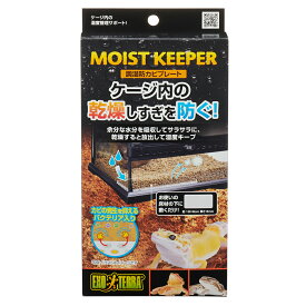 【11／15限定】当選確率2分の1！1等最大100％　GEX　調湿防カビプレート