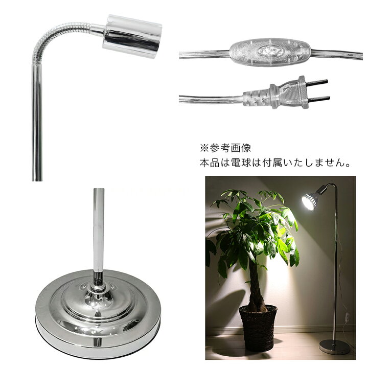 6 19p5倍 Gex エキゾテラ ライトスタンド 新作入荷