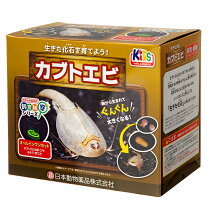 楽天市場】飼育セットの通販