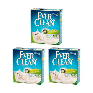 L@Go[N[@EF^Cv@6L@xgiCg@gC@ł܂@3@ll1_@֓