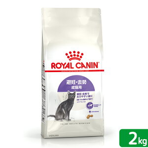 CJi@L@DE@Lp@FHN@XeACYh@2kg@127΂܂Ł@Wbvt@ll5_@֓