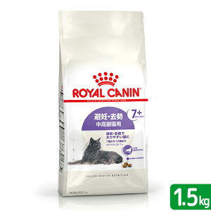 CJi@L@DE@Lp@FHN@XeACYh@7{@1D5kg@7΂12΂܂Ł@Wbvt@ll5_@֓