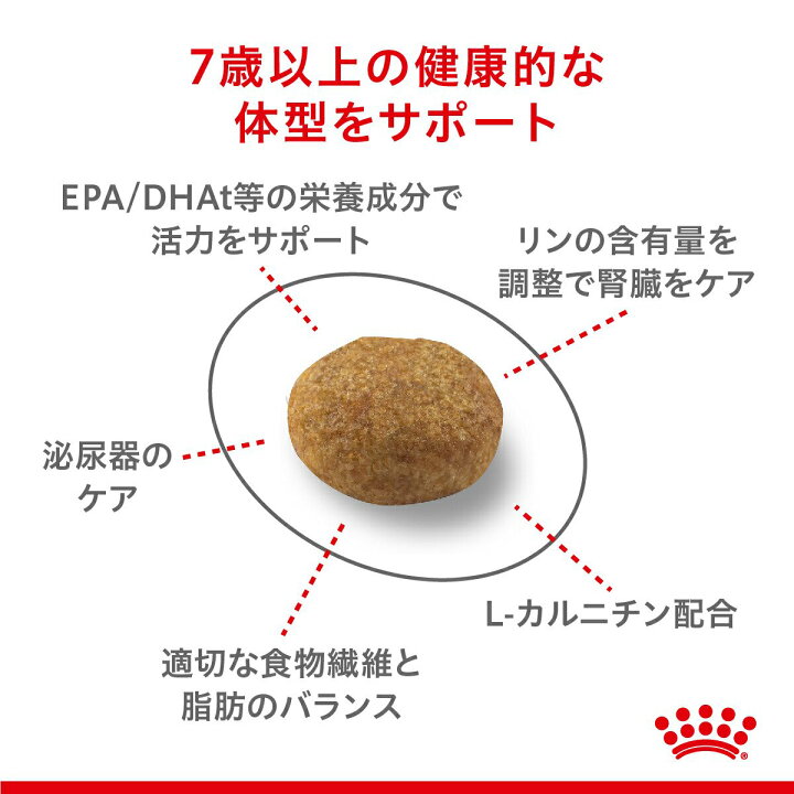 セール価格 ロイヤルカナン FHN ステアライズド 避妊去勢で太りやすい成猫 12カ月齢以上 ロイヤルカナン FHN ステアライズド 避妊去勢で太りやすい成猫 12カ月齢以上