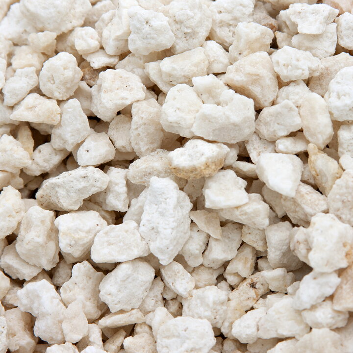 楽天市場 国内洗浄済み ｃ ｐ ｆａｒｍ 化石サンゴ砂 ｆｏｓｓｉｌ ｃｏｒａｌ ｌ ９ｋｇ ３ｋｇ ３ 海水水槽用底砂 お一人様２点限り 関東当日便 Charm 楽天市場店