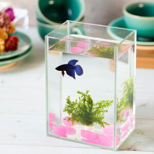ベタ 水草 ペットの人気商品 通販 価格比較 価格 Com