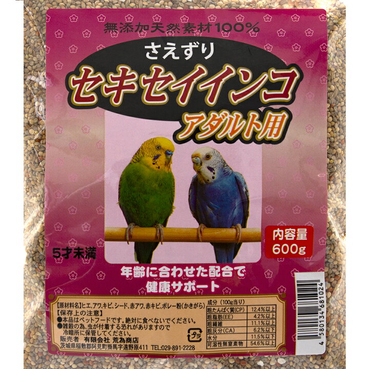 楽天市場 セキセイインコ アダルト ６００ｇ 関東当日便 Charm 楽天市場店