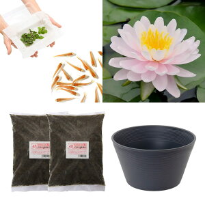 irIg[vji߂j͂߂Ă̐@͔|Zbg@CEfCrX{@{q_J{@t@{Bl@ll1_