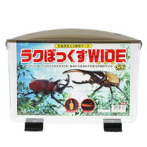楽天市場】ヘラクレス 蛹室の通販
