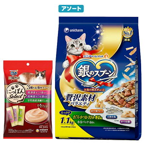 Lbgt[h@̃Xv[@ґfރoGeB@܂EE݁Eؖ{OcO@@֓