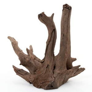 J~n^@^CYVR؁@_[Nz[Ebh@XL@`󂨔C@AN@37×25×35cm@ANAE@@֓