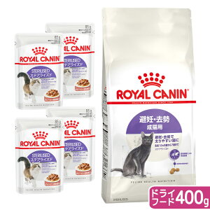 CJi@L@DE@Lp@hCEFbgZbg@hC400g@Wbv@{@EFbg×4܁@֓