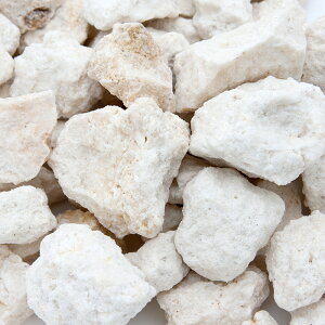 ς݁@CDPDFarm@fossil@coral@΃TSfBA@LTCY@3kgi1kg×3j@JVEAN^[p@܂t@֓