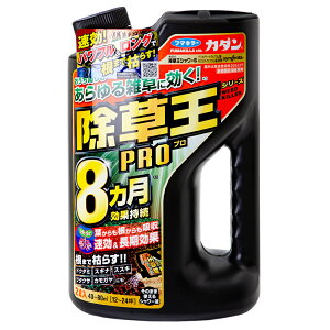 ܁@t}L[@J_PRO@V[S@2L@֓