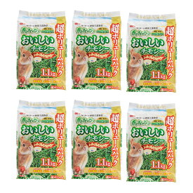 GEX　おいしいチモシー　1．1kg×6袋　一番刈り【HLS_DU】　関東当日便