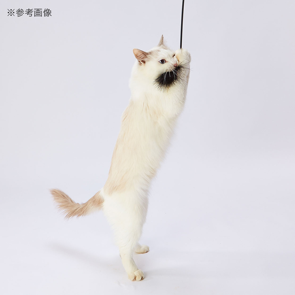 猫じゃらし ペティオ 猫用おもちゃ ｎｅｃｏｃｏ ＢＬＡＣＫ ＴＡＣＴ ブラックフェザー 関東当日便 おもちゃ