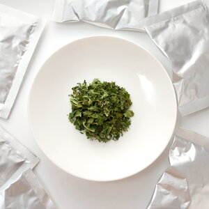 Y@ppC̗t100ӂ肩@~jpbN@2g×10܁@p̂@Y@F@@bg@ыPA@֓