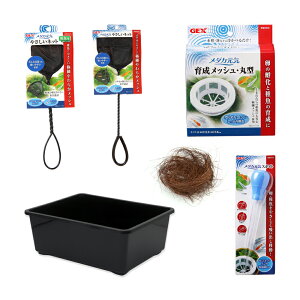 `[IWiZbg@_JEɐBZbg@eiXpi{t@֓