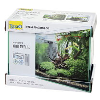 楽天市場】30cm水槽セットの通販