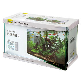 楽天市場 水槽セット 人気ランキング1位 売れ筋商品